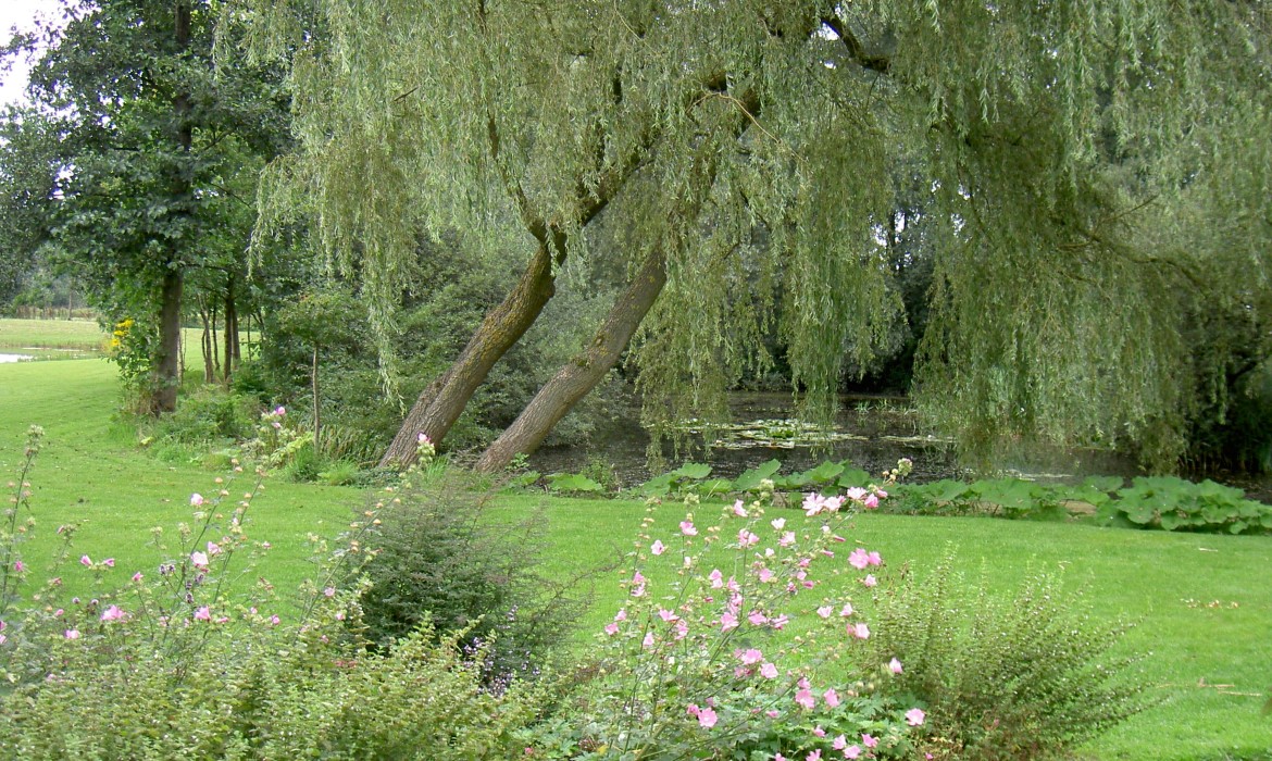 Landelijke tuin met twee grote vijvers